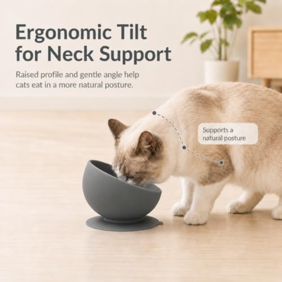 Silicone Slow Feeder Cat Bowl, - Silicone Suction Bowl ulasan dan harga